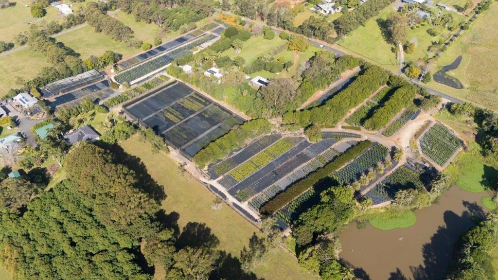 Aerial overview of the Cape Nursery property layout showing shadehouses, growing rows, and the surrounding rural NSW landscape